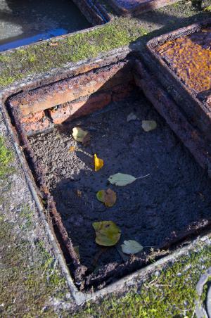 septic tank 
      maintenance texas cities 
      zip batch